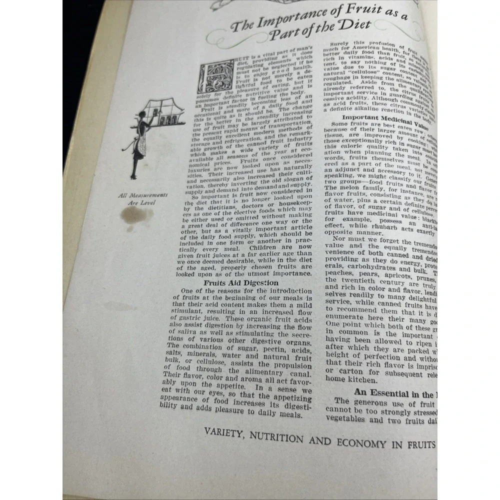 1928 The‎ Fruit Book Woman's World Magazine Recipe Booklet Vintage